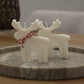 Reindeer - Sunday Solitude